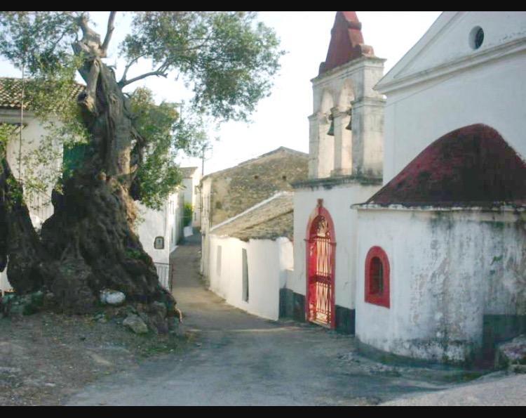Ninos Corfu Villas Agios Georgios  Eksteriør billede