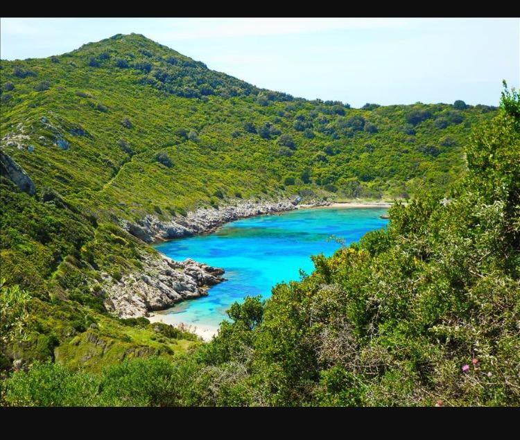 Ninos Corfu Villas Agios Georgios  Eksteriør billede